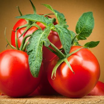 “The Tomato:Countless Health Benefits”